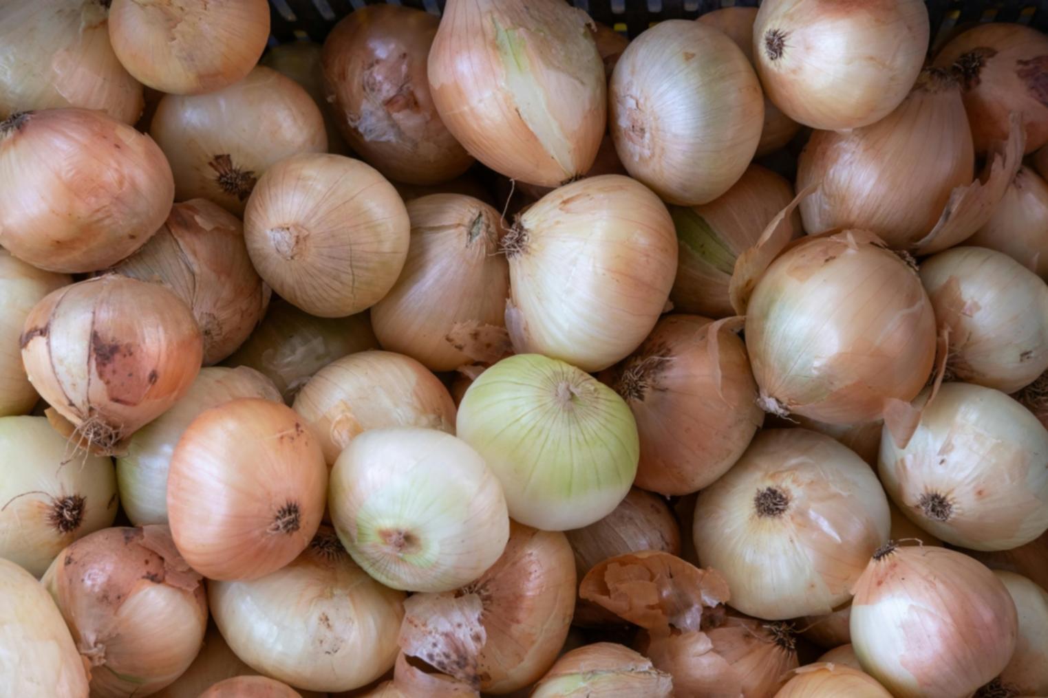 Frische saisonale Zutaten bei der Vorbereitung in unserer Kochakademie